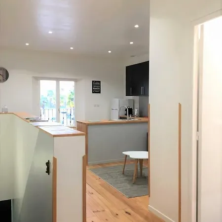 Le T2 Moderne Des Palmiers Au Coeur De Apartment Moissac